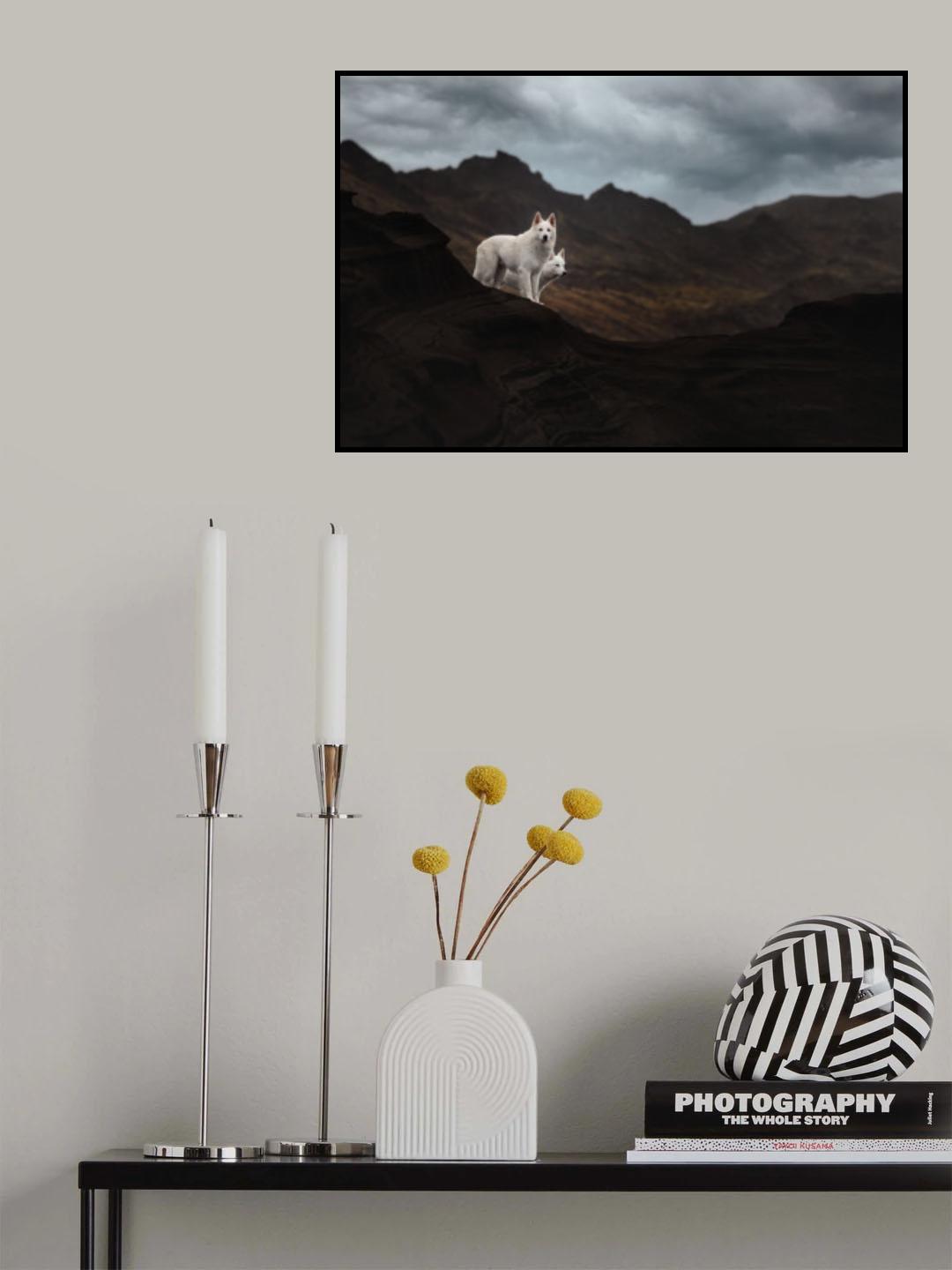 Dogs of Iceland Poster och Canvastavla