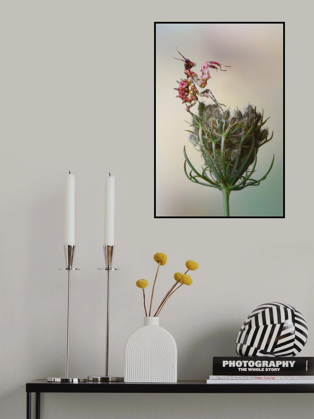 Flower Mantis Poster och Canvastavla