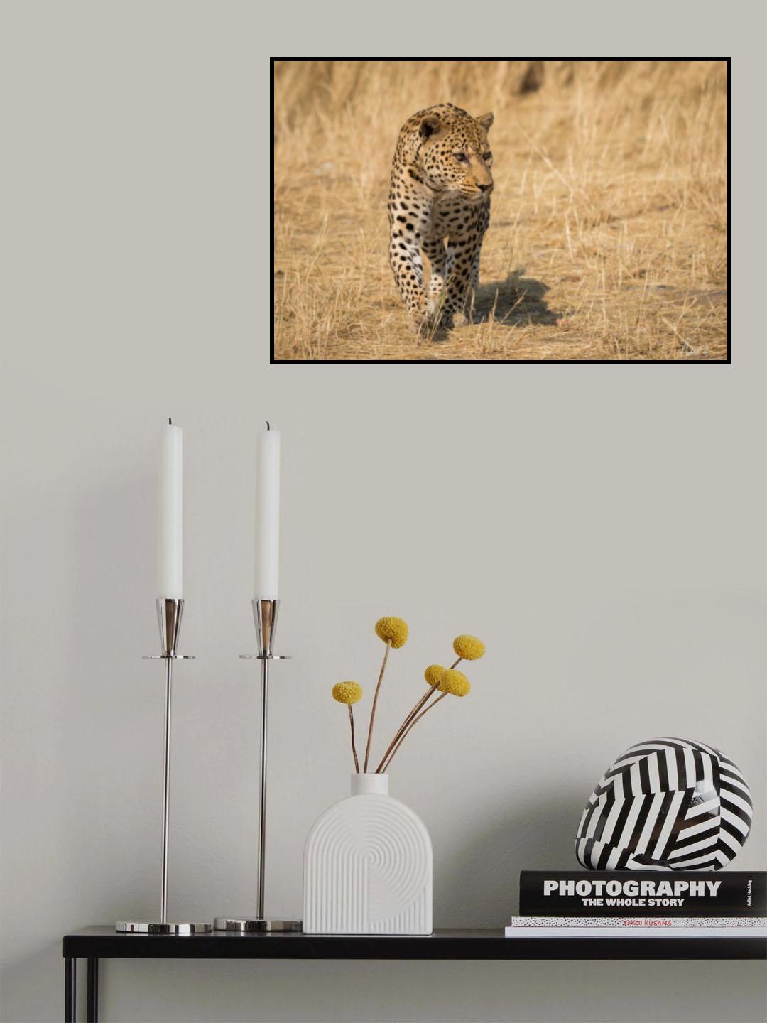 Leopard Poster och Canvastavla