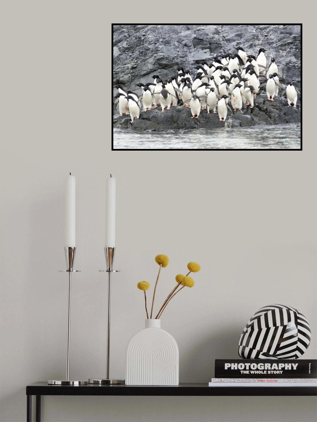 Poster och Canvastavla