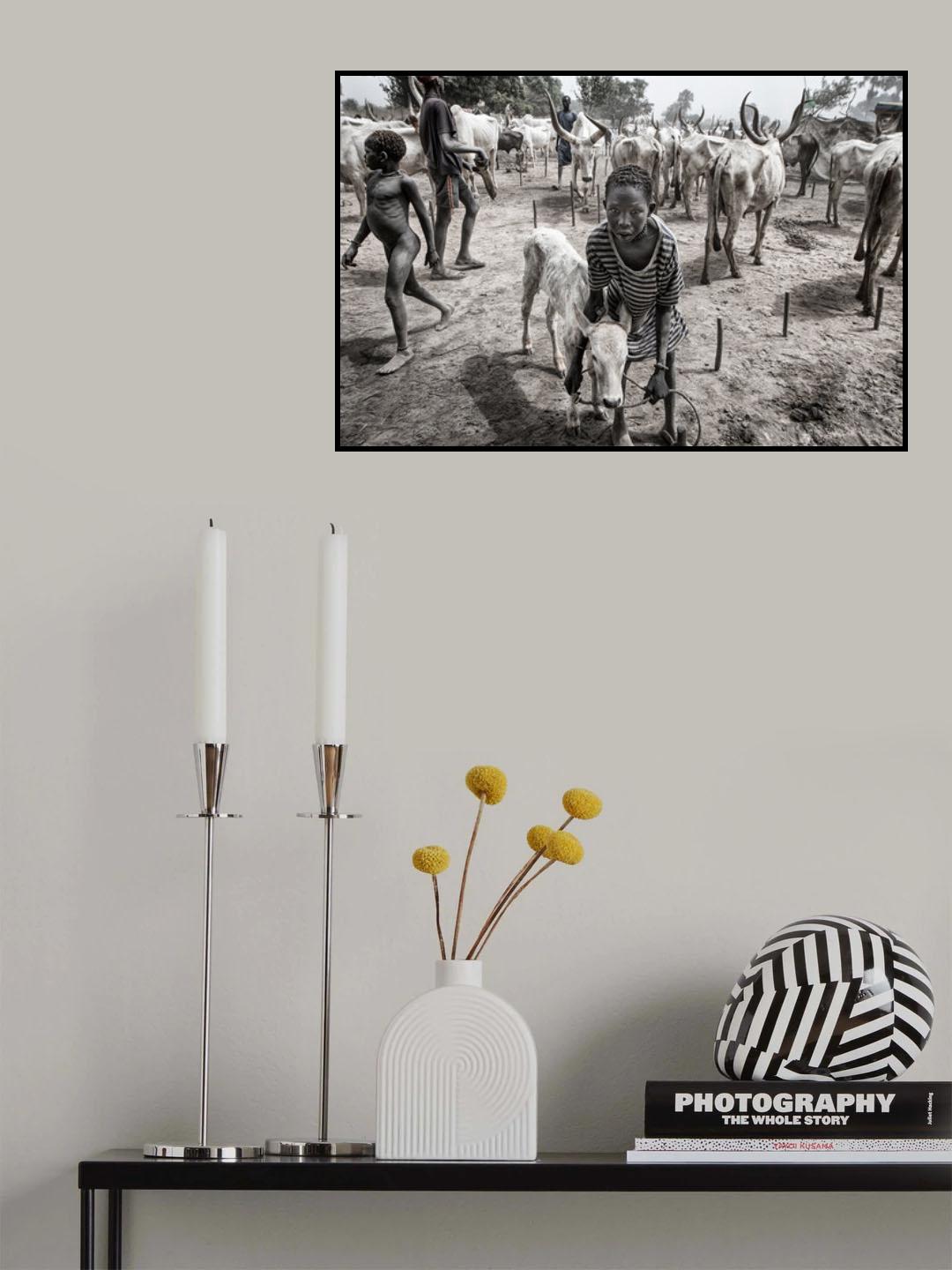 A scene of life in a mundari cattle camp - South Sudan Poster och Canvastavla
