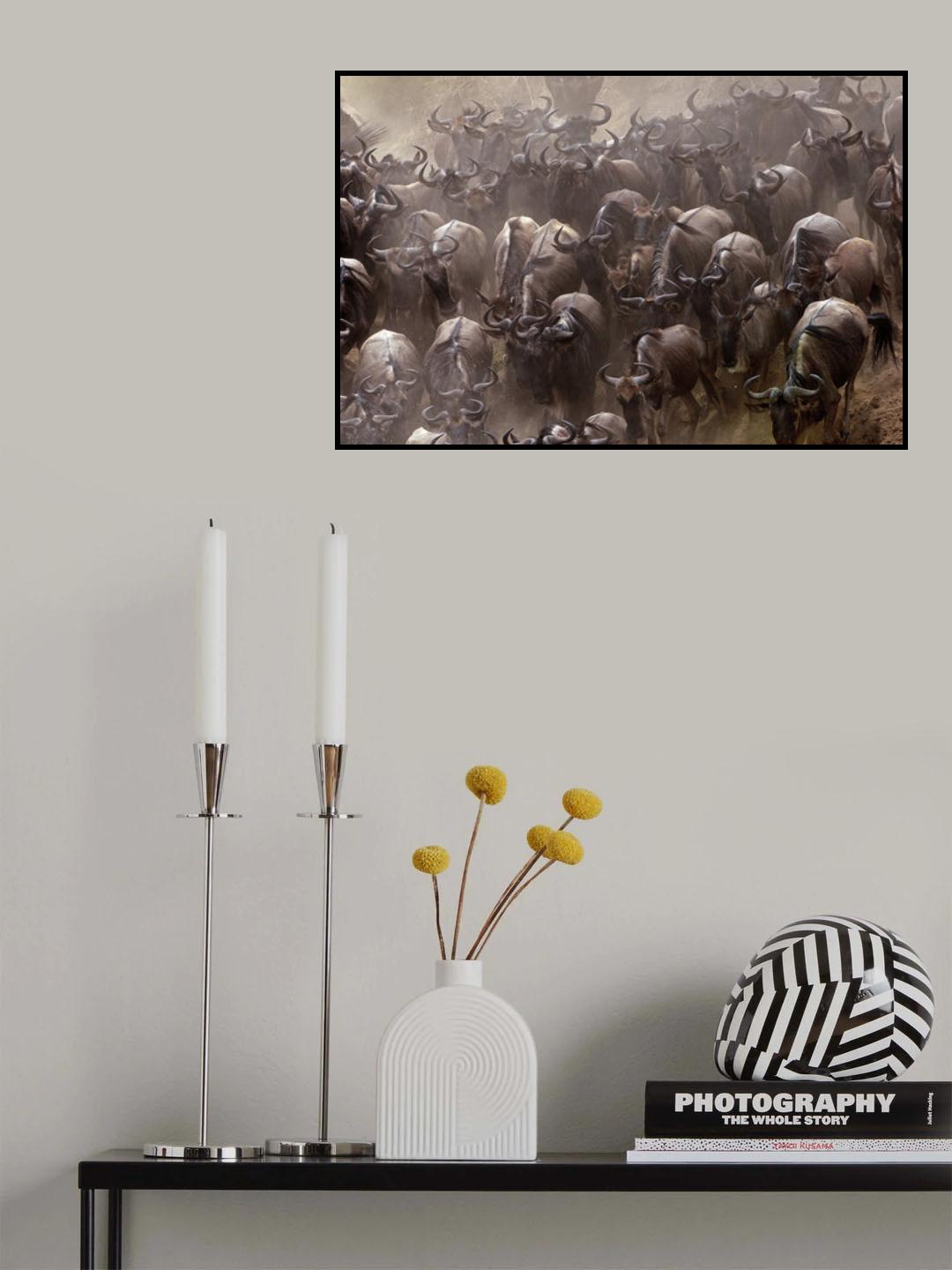 Crossing Poster och Canvastavla