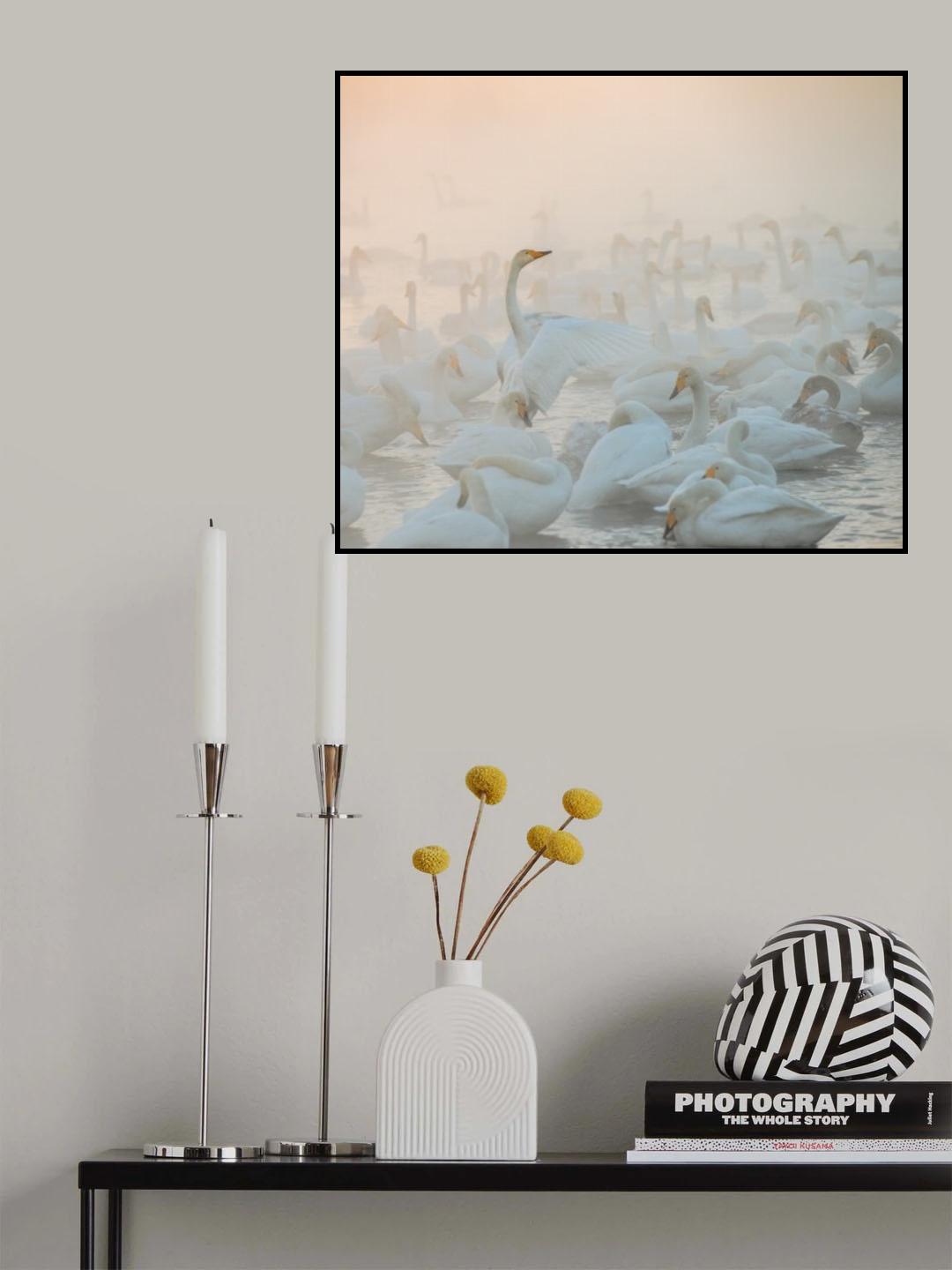 Song of the Morning Light Poster och Canvastavla