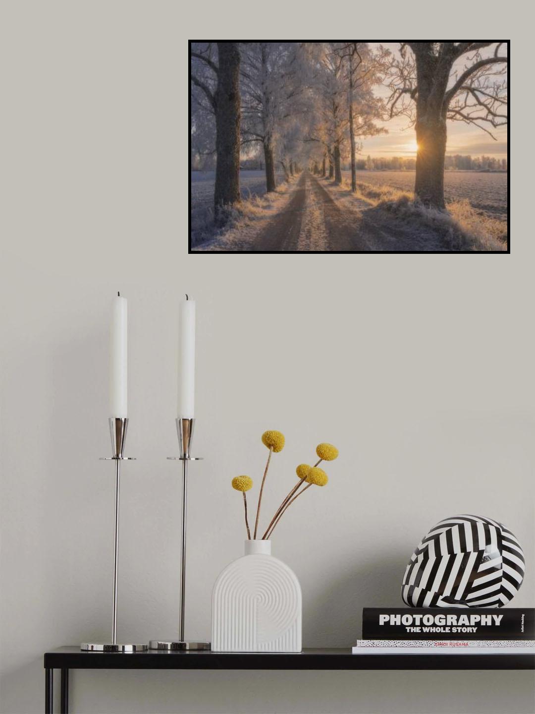 The Road not Taken Poster och Canvastavla
