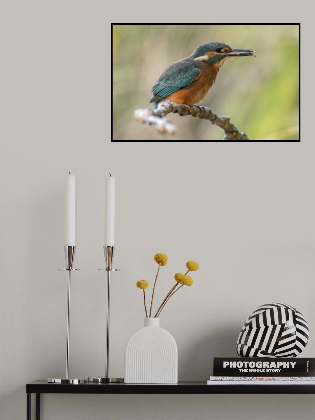 Poster och Canvastavla
