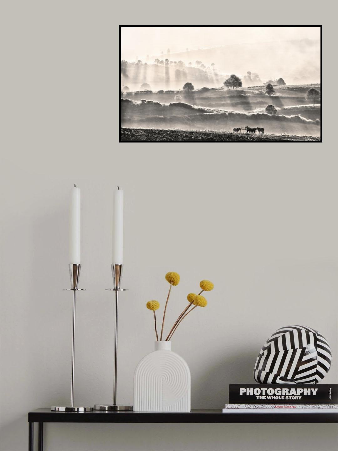 The ox-driver Poster och Canvastavla