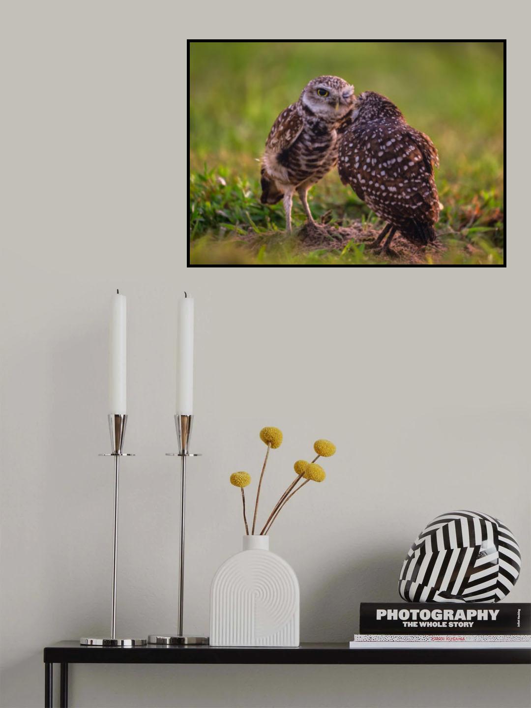 Tickling Poster och Canvastavla