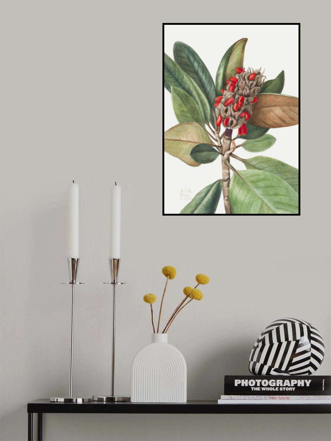 Southern Magnolia (1923) Poster och Canvastavla