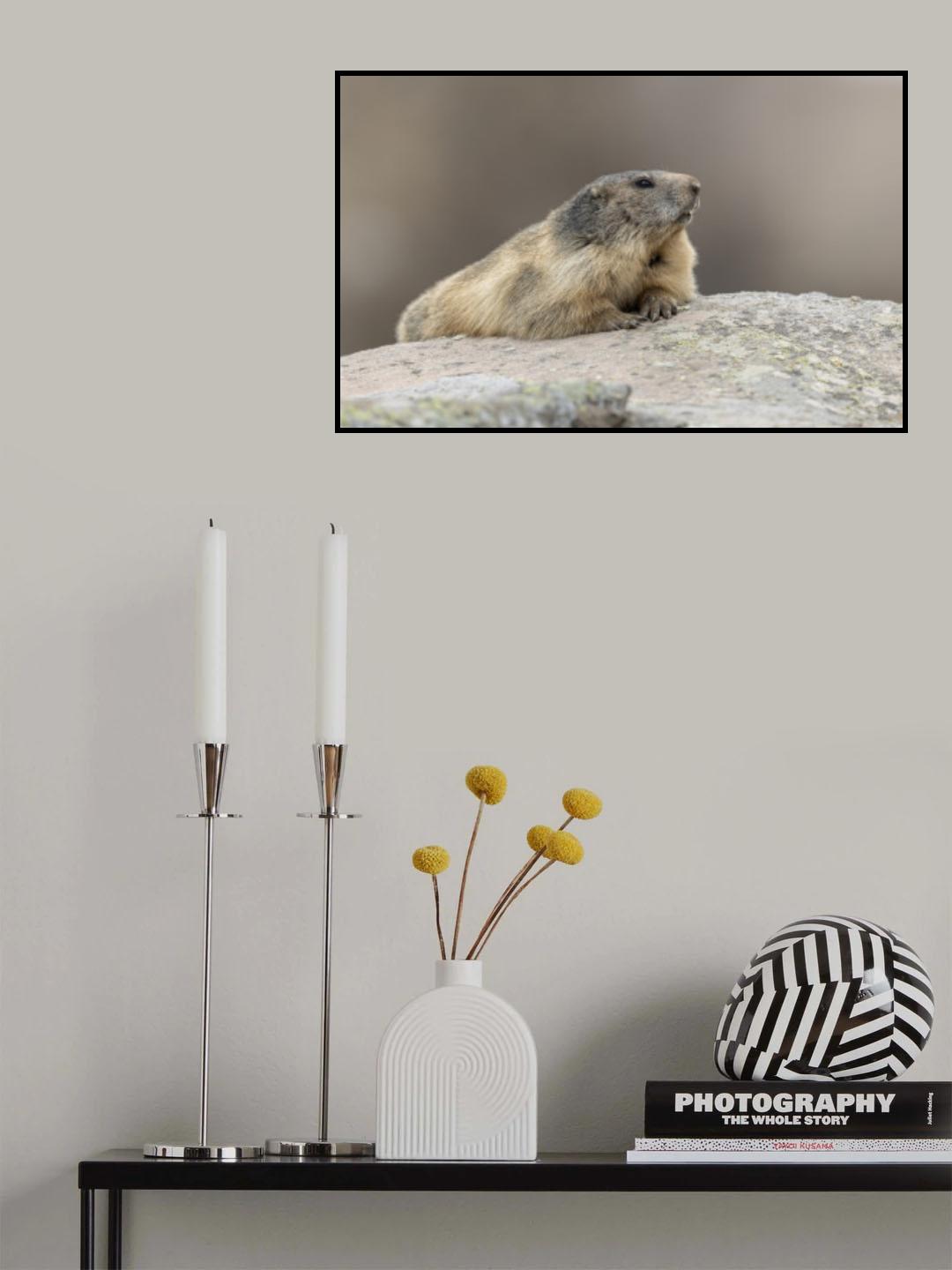 relax Poster och Canvastavla