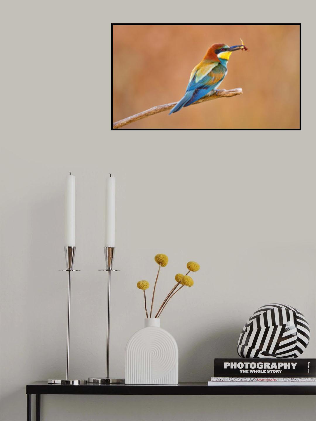 Bee-eater Poster och Canvastavla