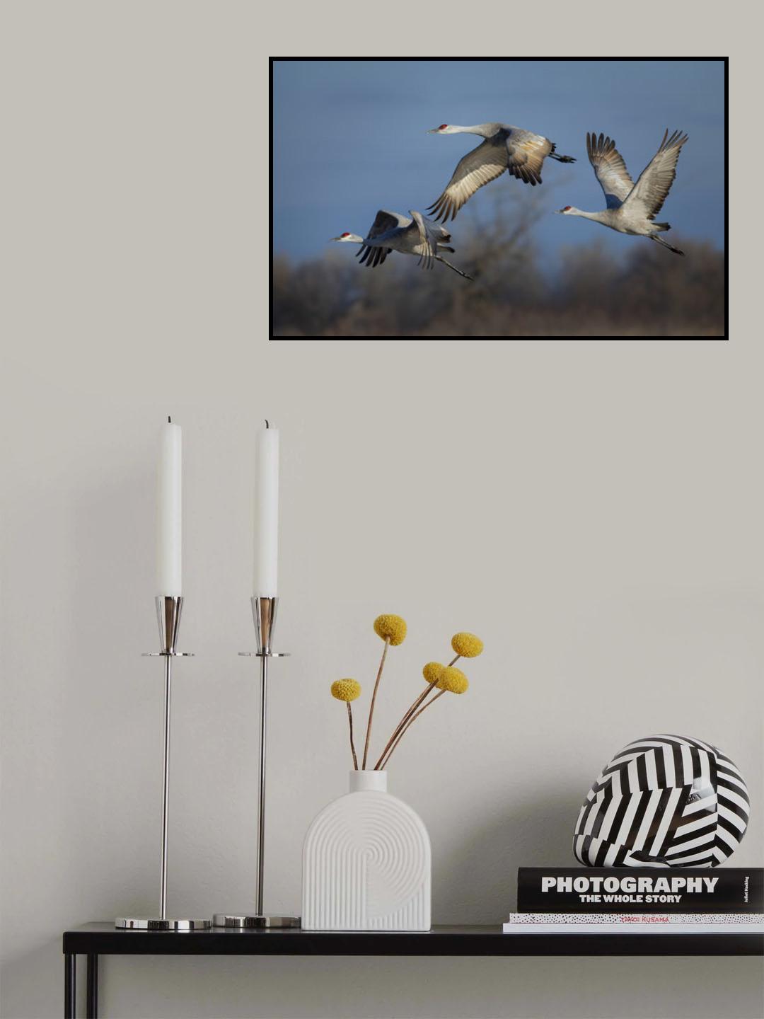 Spring migration Poster och Canvastavla