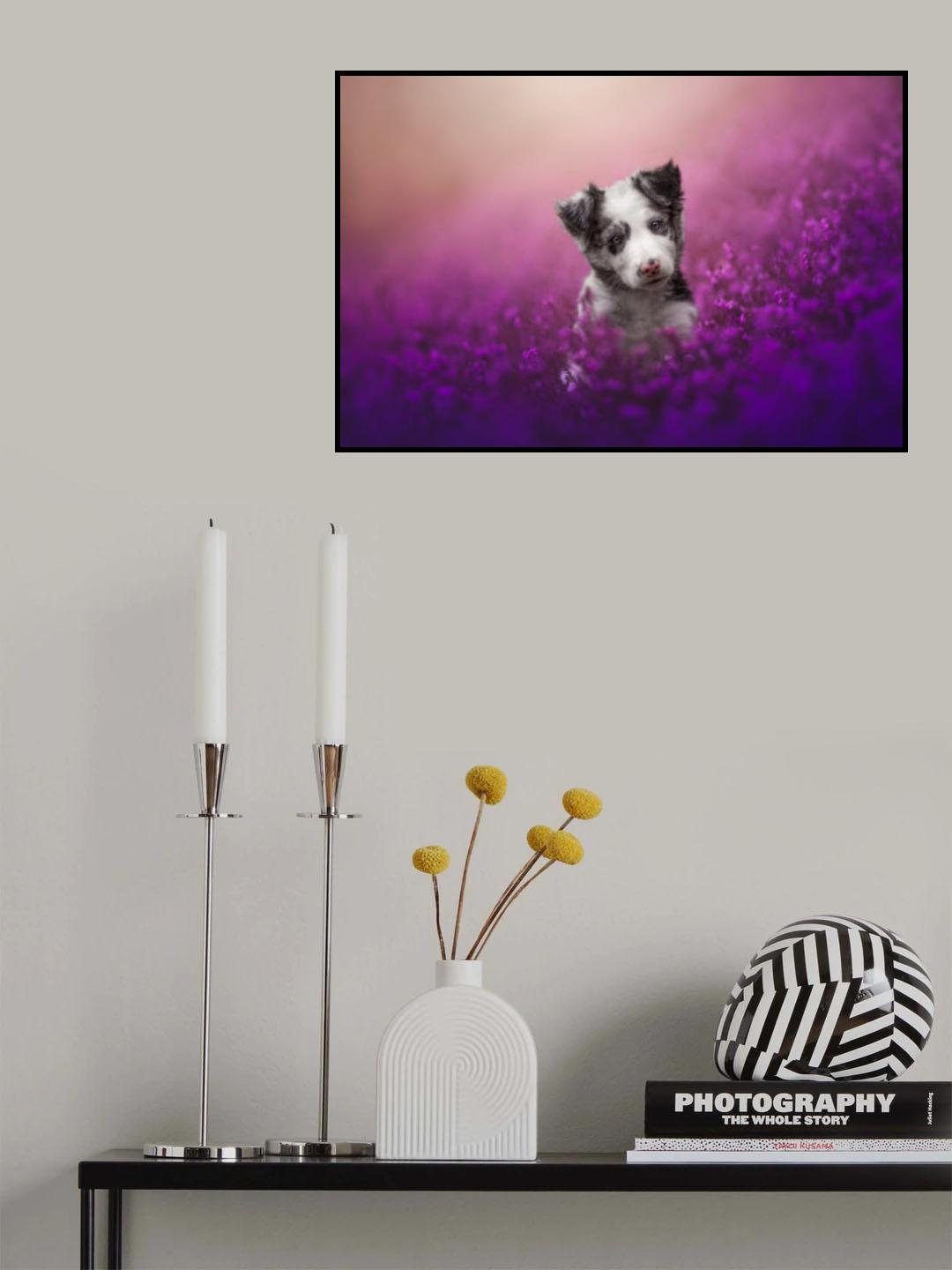 Cutie Poster och Canvastavla