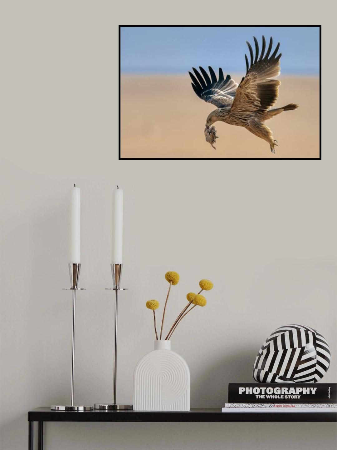 Poster och Canvastavla