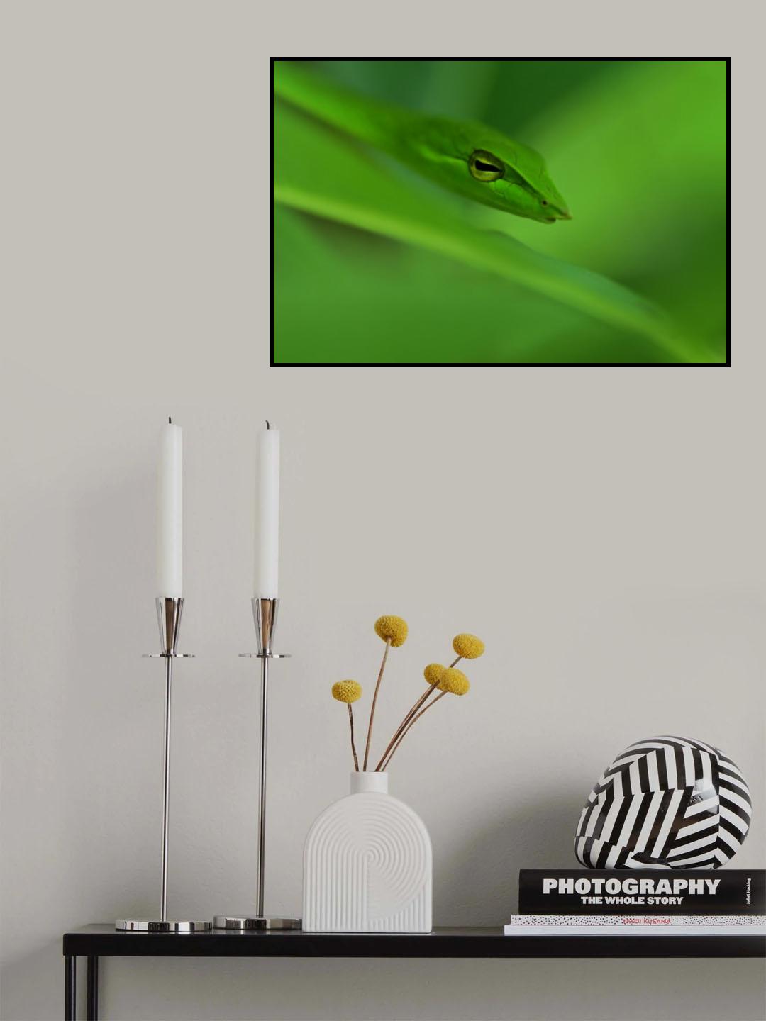 Vine snake blending in habitat Poster och Canvastavla
