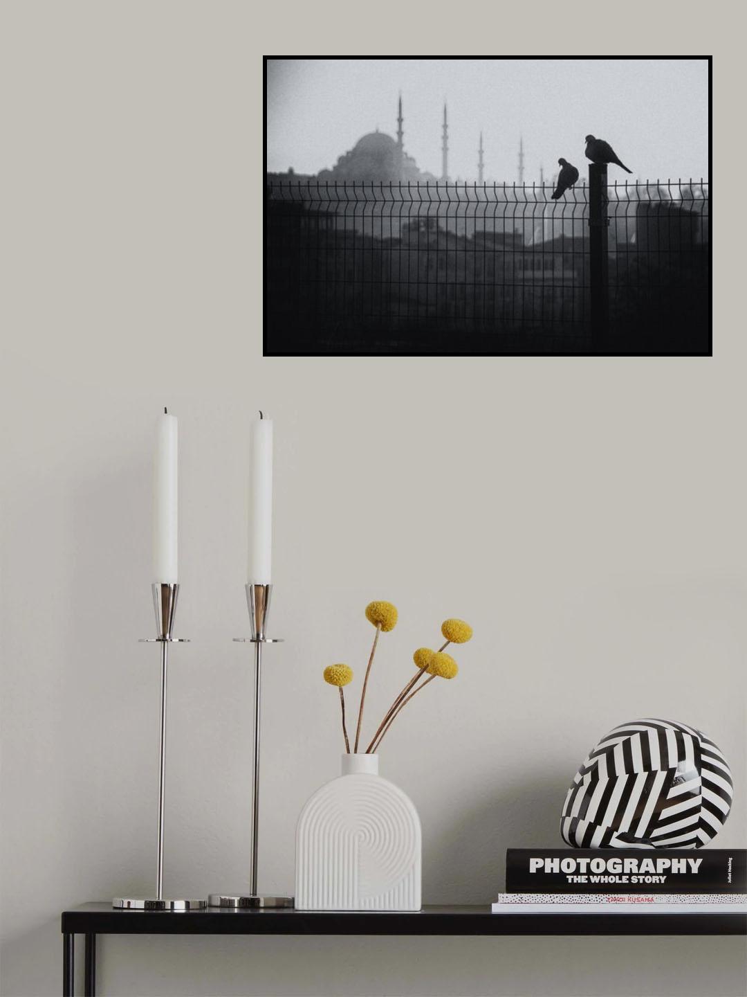 Kumrular Poster och Canvastavla