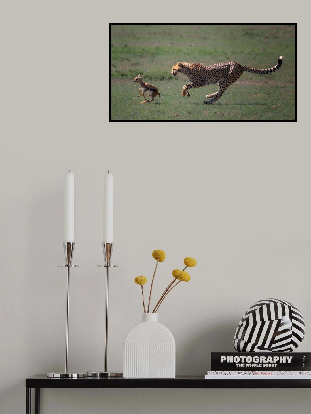 fugitive Poster och Canvastavla