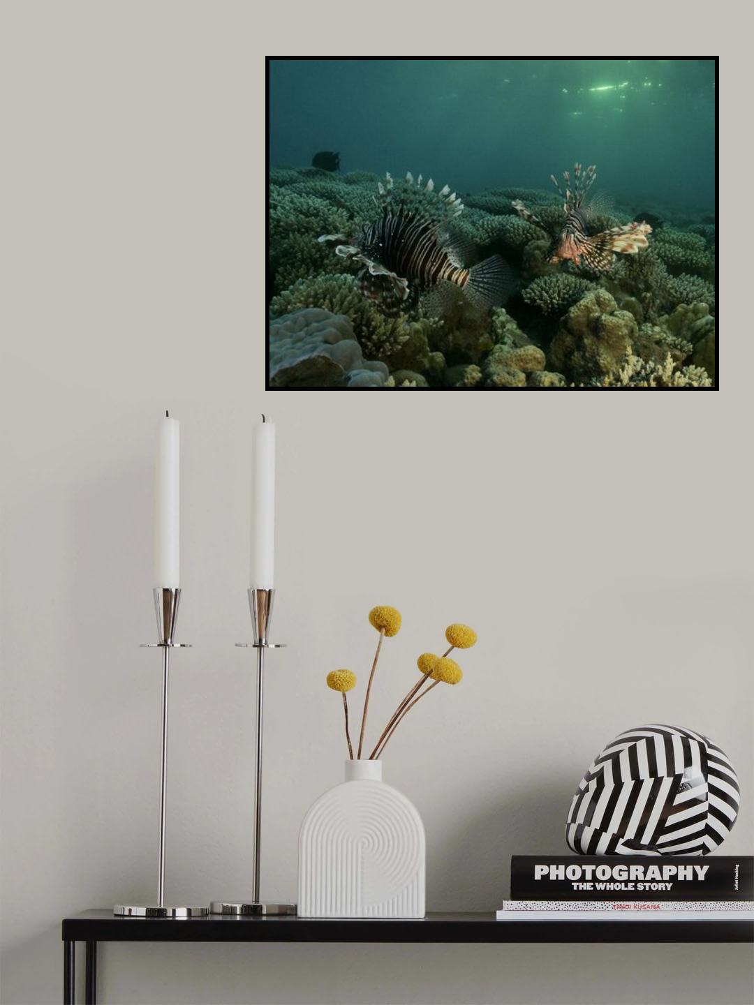 Lion fish Poster och Canvastavla