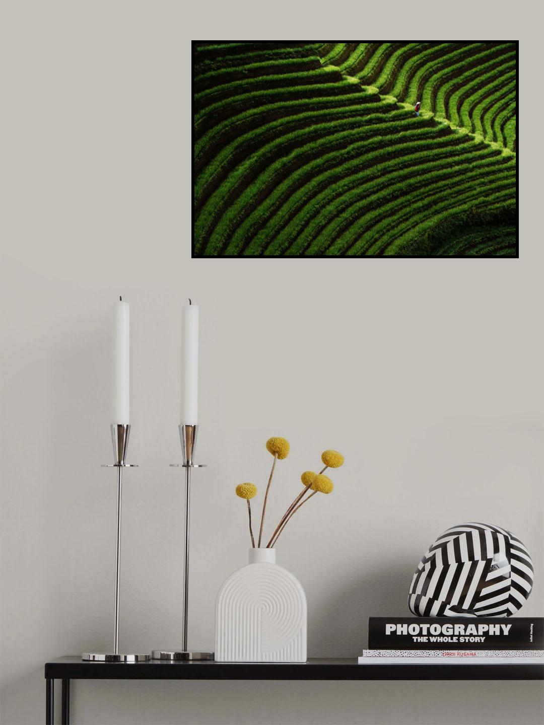 'giant leaf' in shallot park Poster och Canvastavla