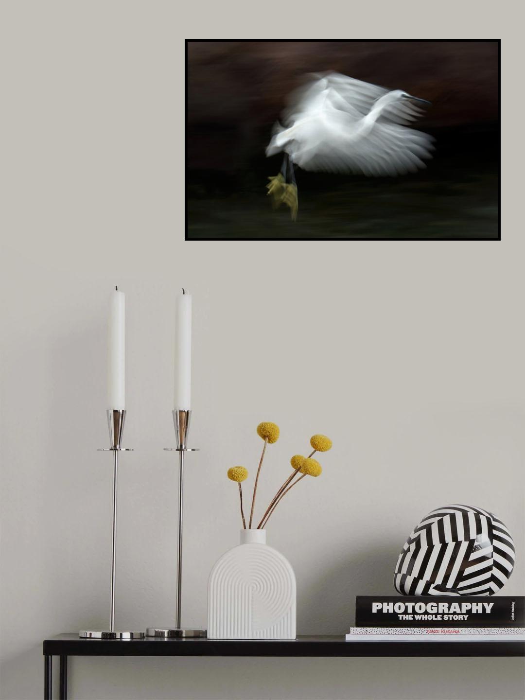 Flying at dusk Poster och Canvastavla