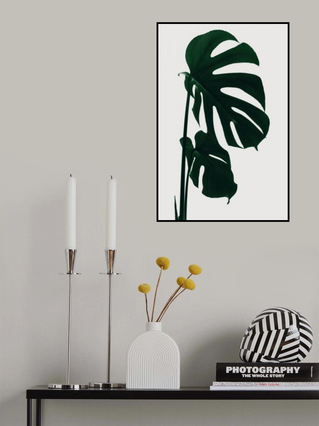 Monstera Natural 15 Poster och Canvastavla