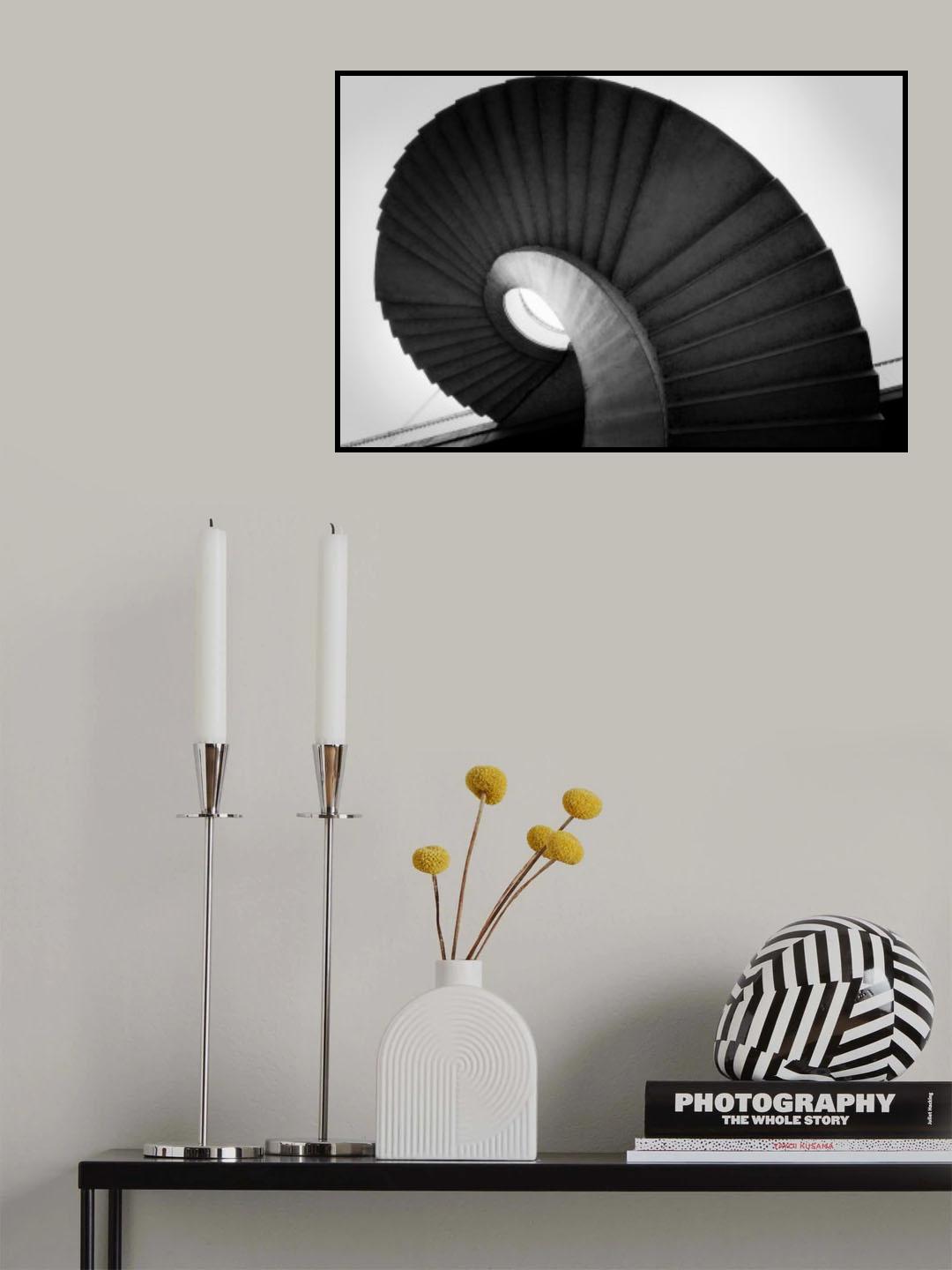 The snail Poster och Canvastavla