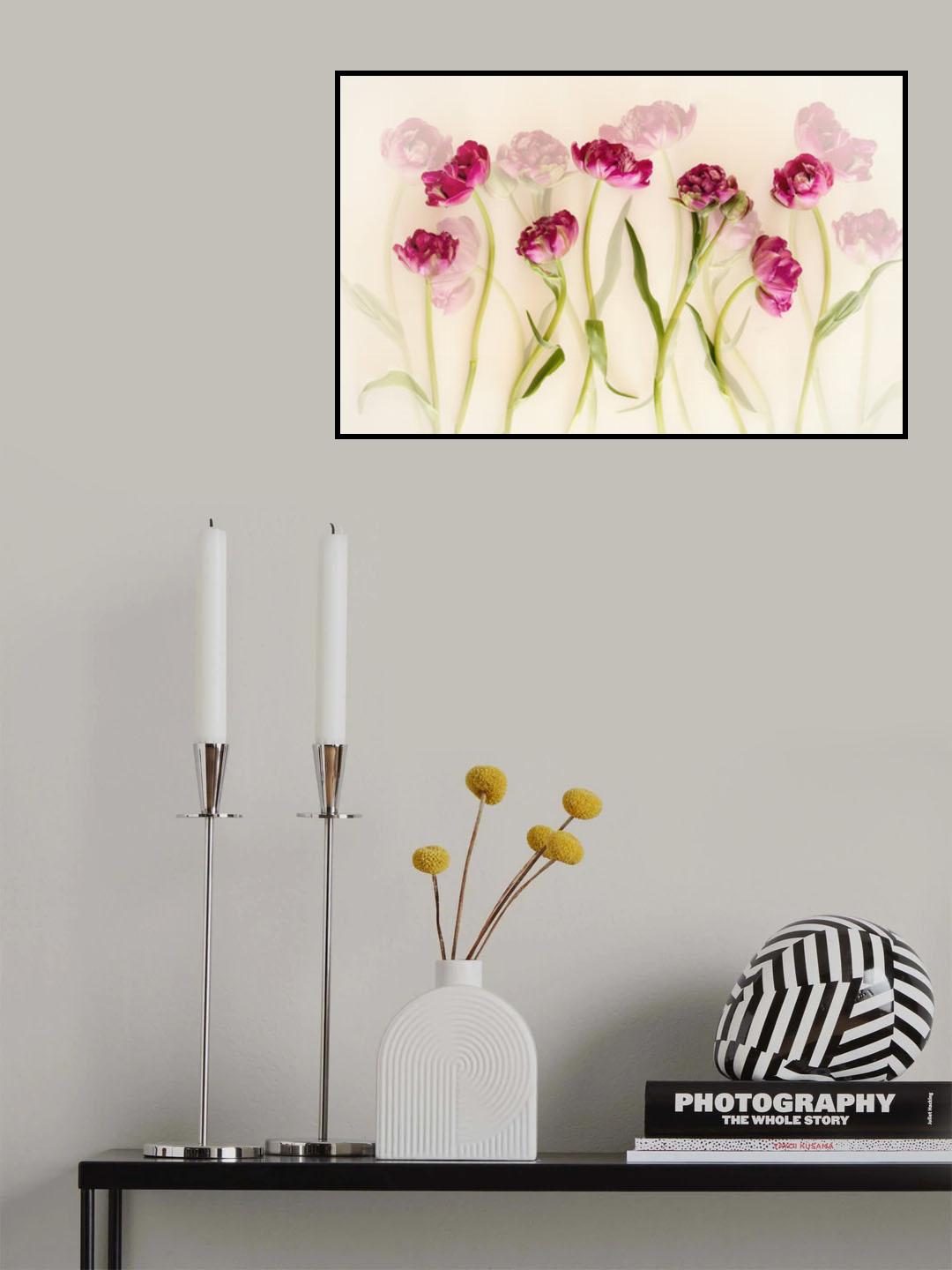 Tulips Poster och Canvastavla