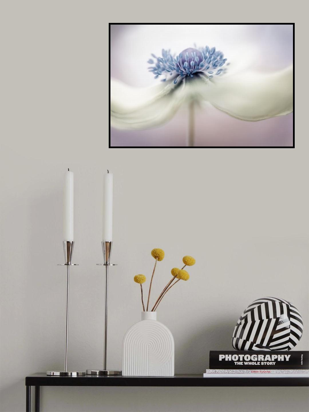 a n e m o n e Poster och Canvastavla