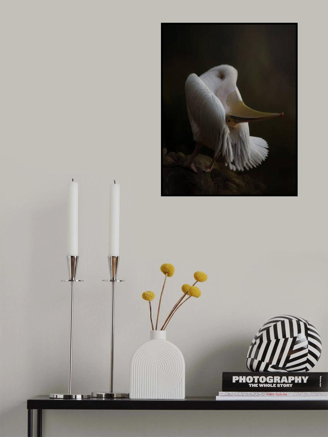 Pelican at the Rock Poster och Canvastavla