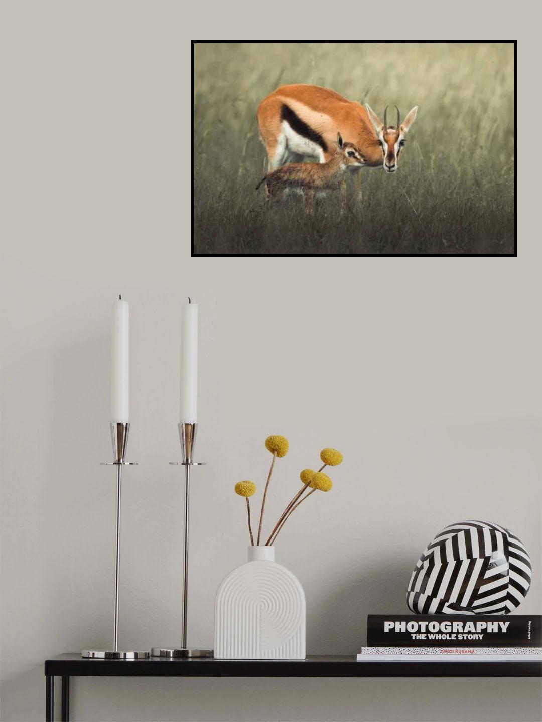 Poster och Canvastavla