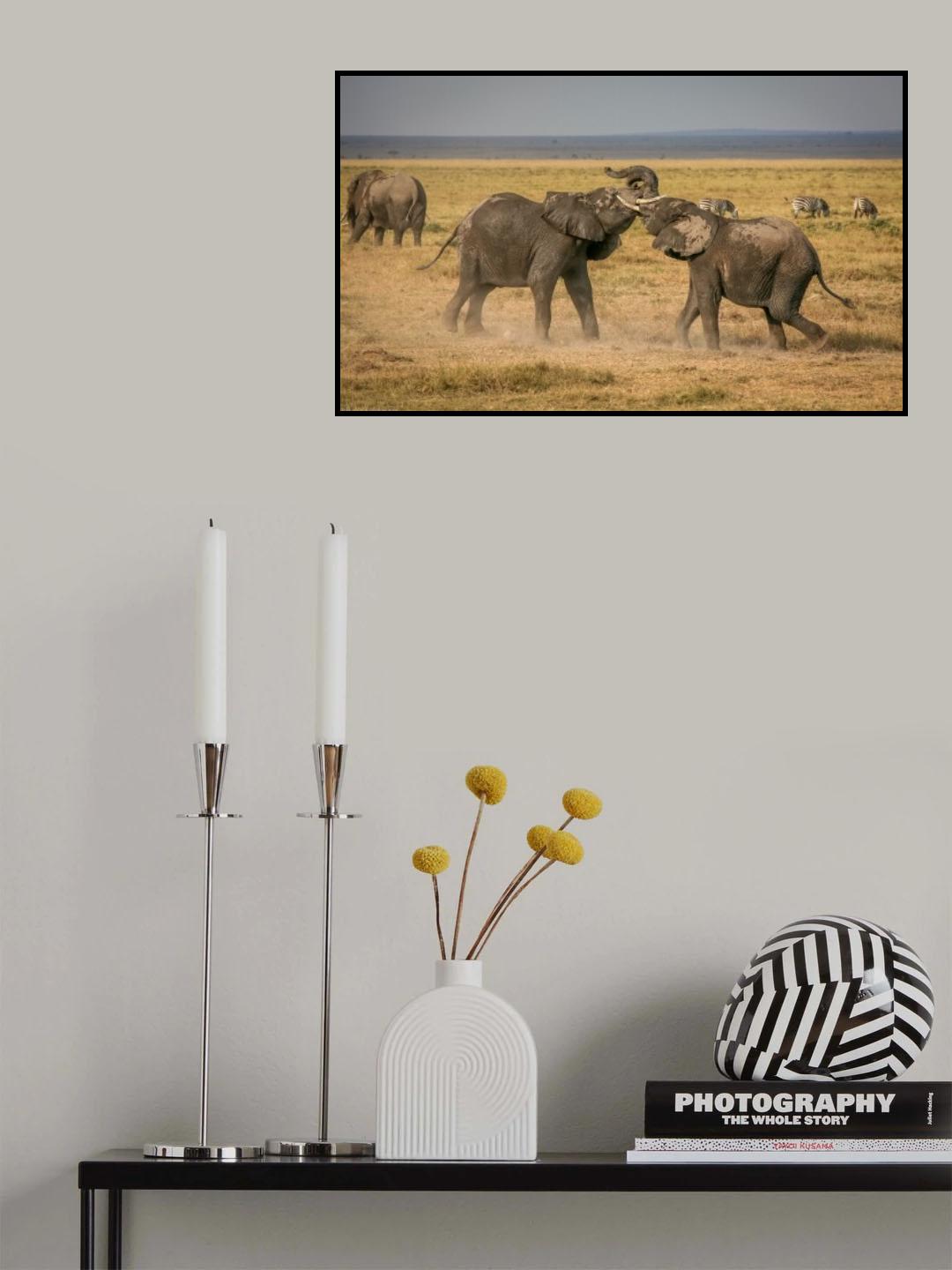 An elephantine argument Poster och Canvastavla