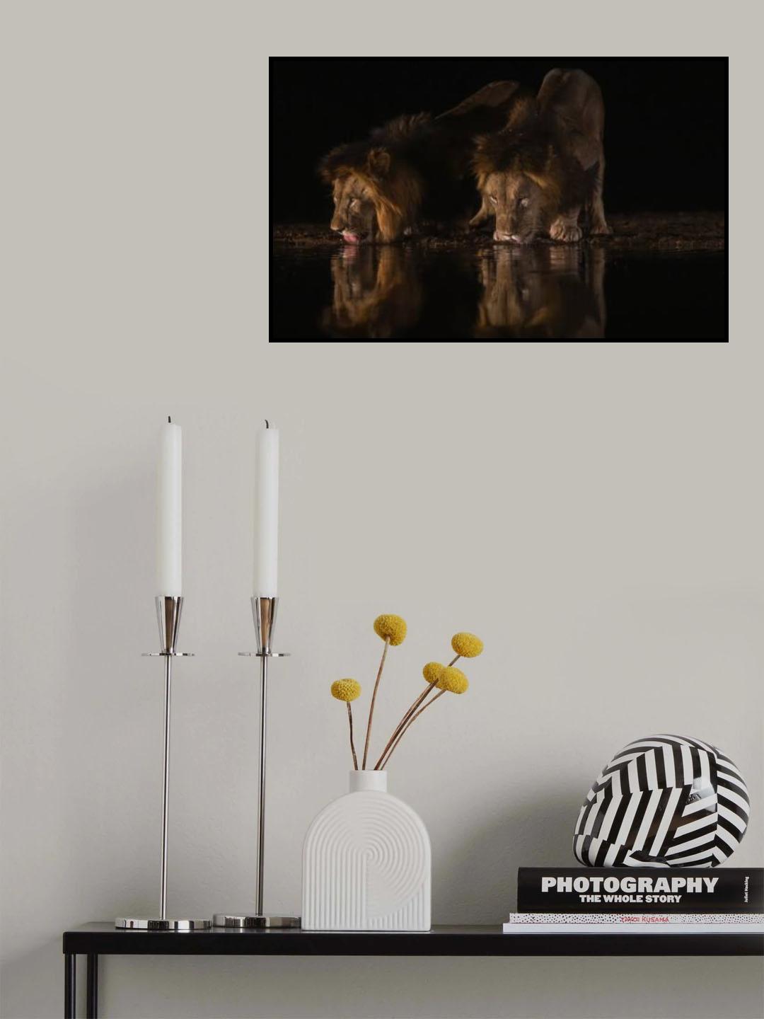 Two Brothers Poster och Canvastavla