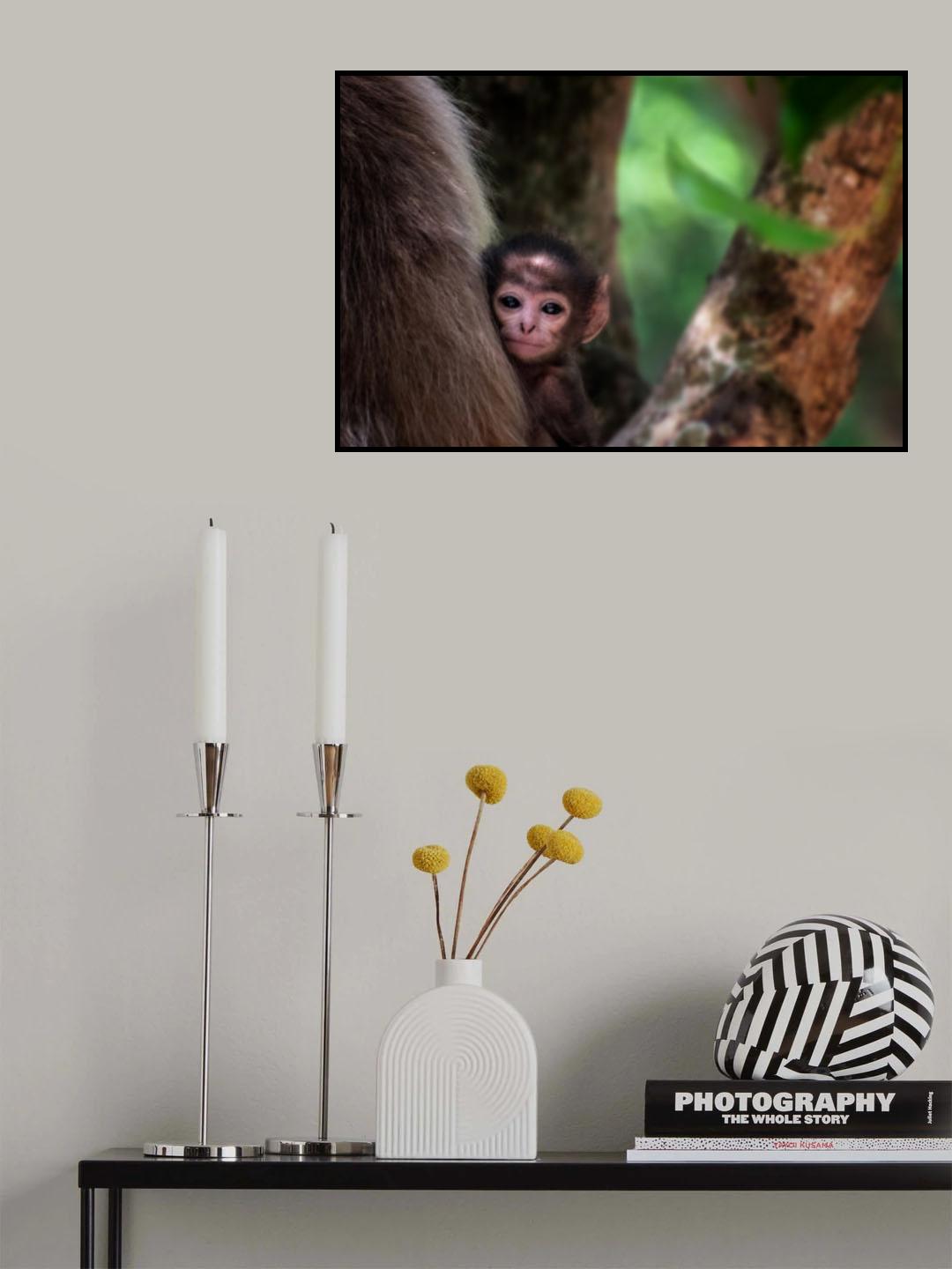 Magical eyes Poster och Canvastavla