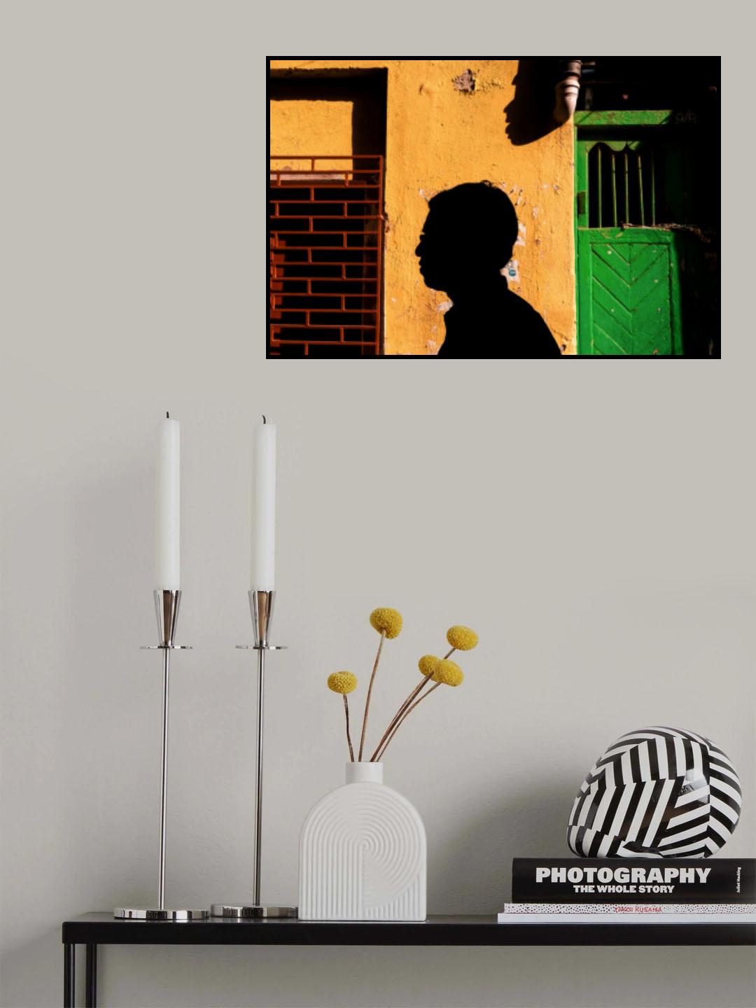 A shadow story Poster och Canvastavla
