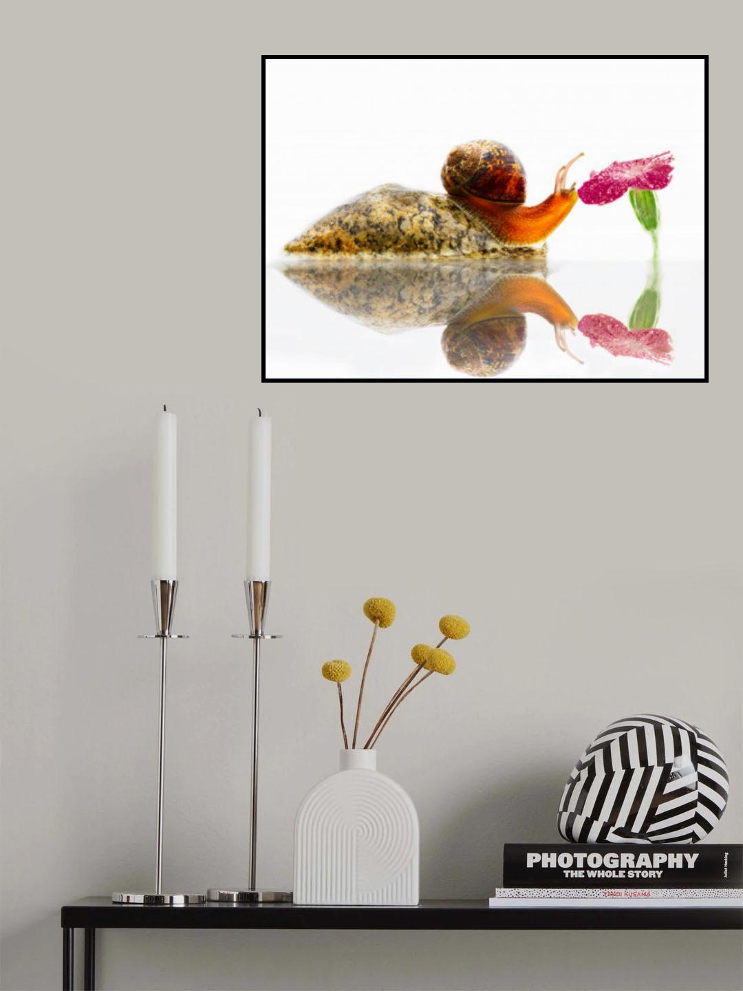 Forbidden Fruit Poster och Canvastavla