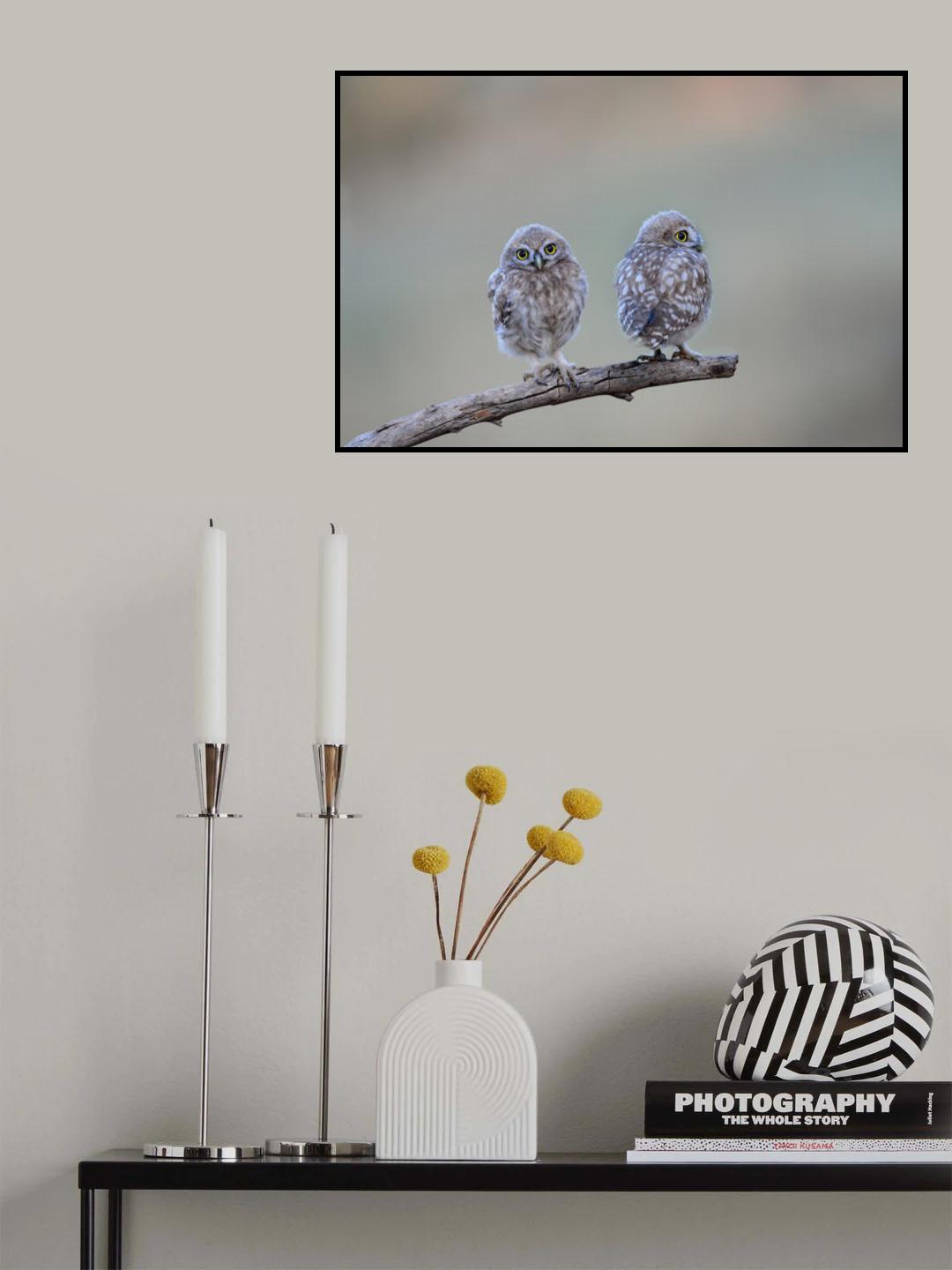 Poster och Canvastavla