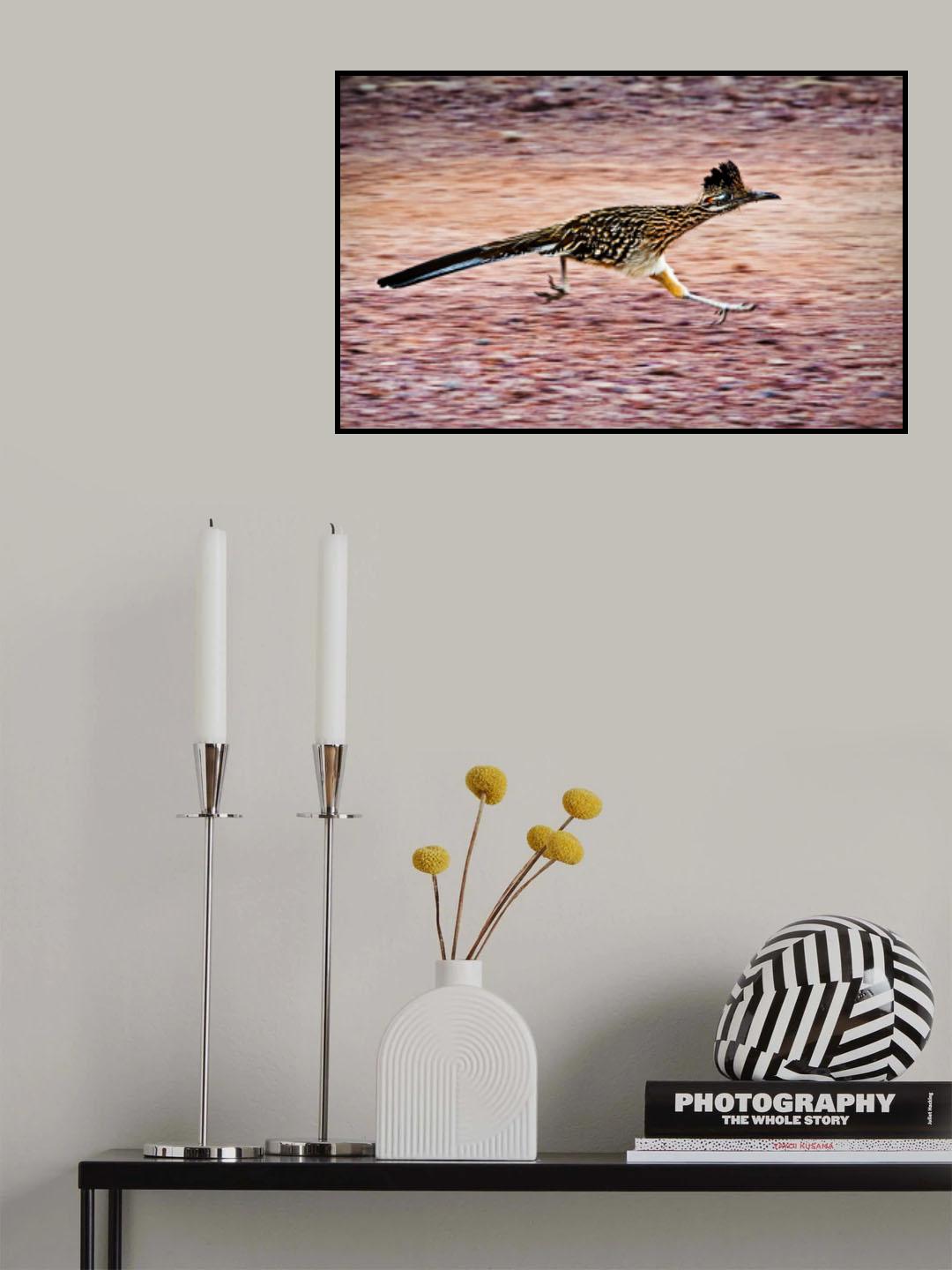 Road Runner Poster och Canvastavla