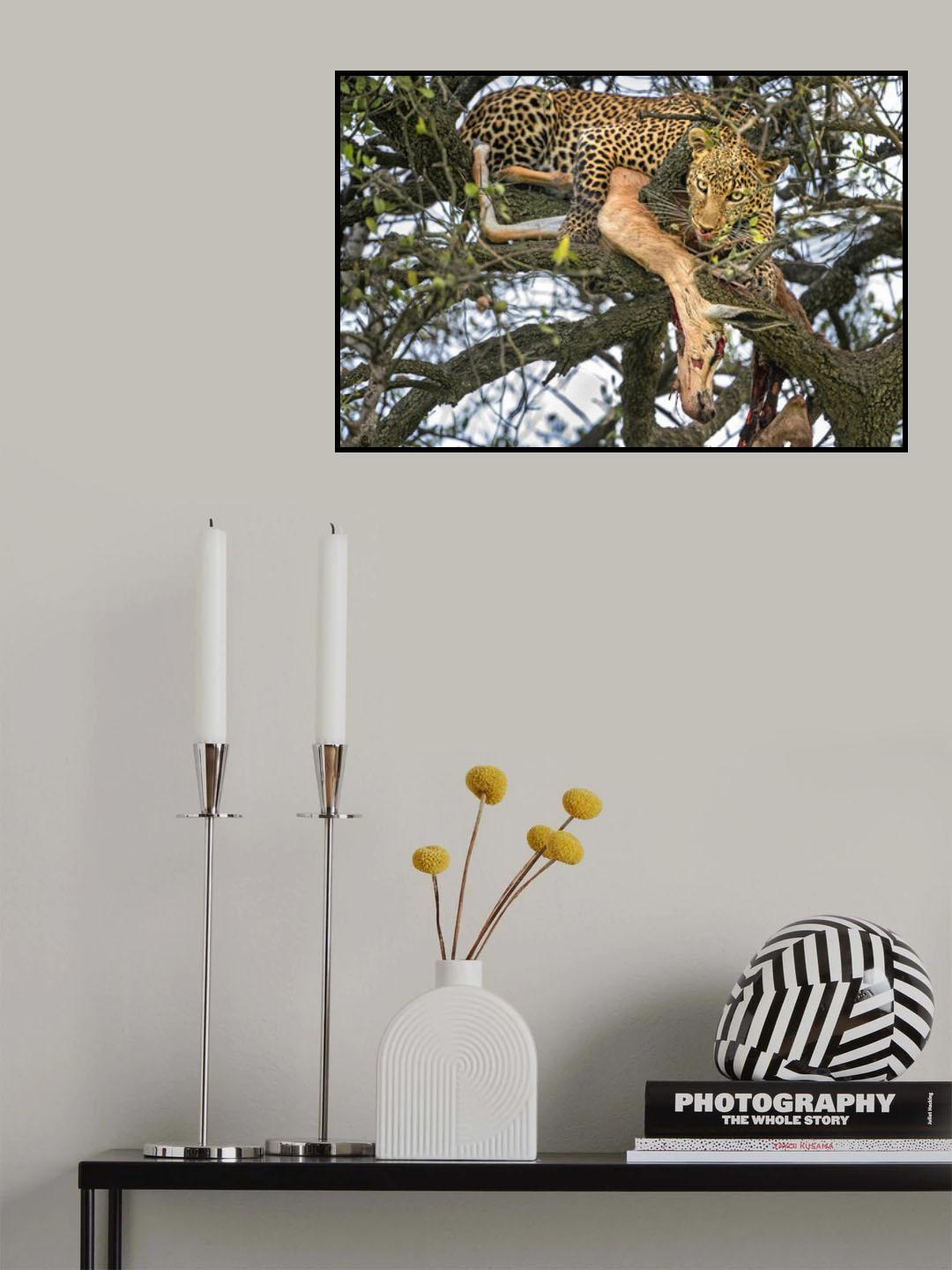 Leopard with prey Poster och Canvastavla