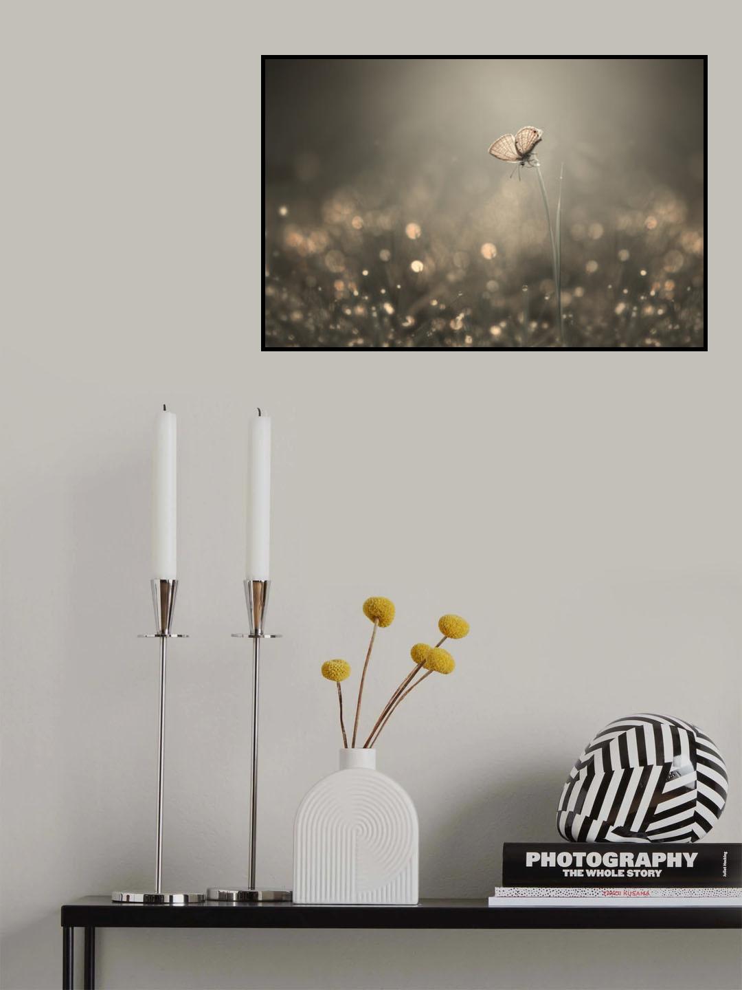 Dream Light Poster och Canvastavla