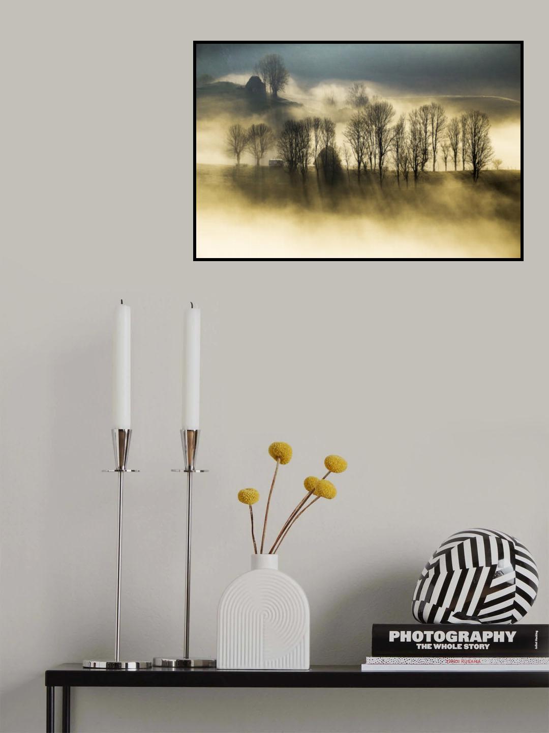 I see the light Poster och Canvastavla