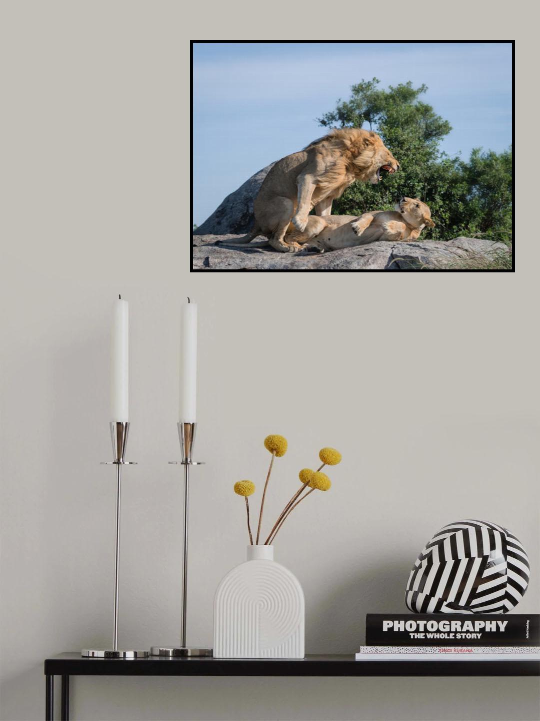 In love Poster och Canvastavla
