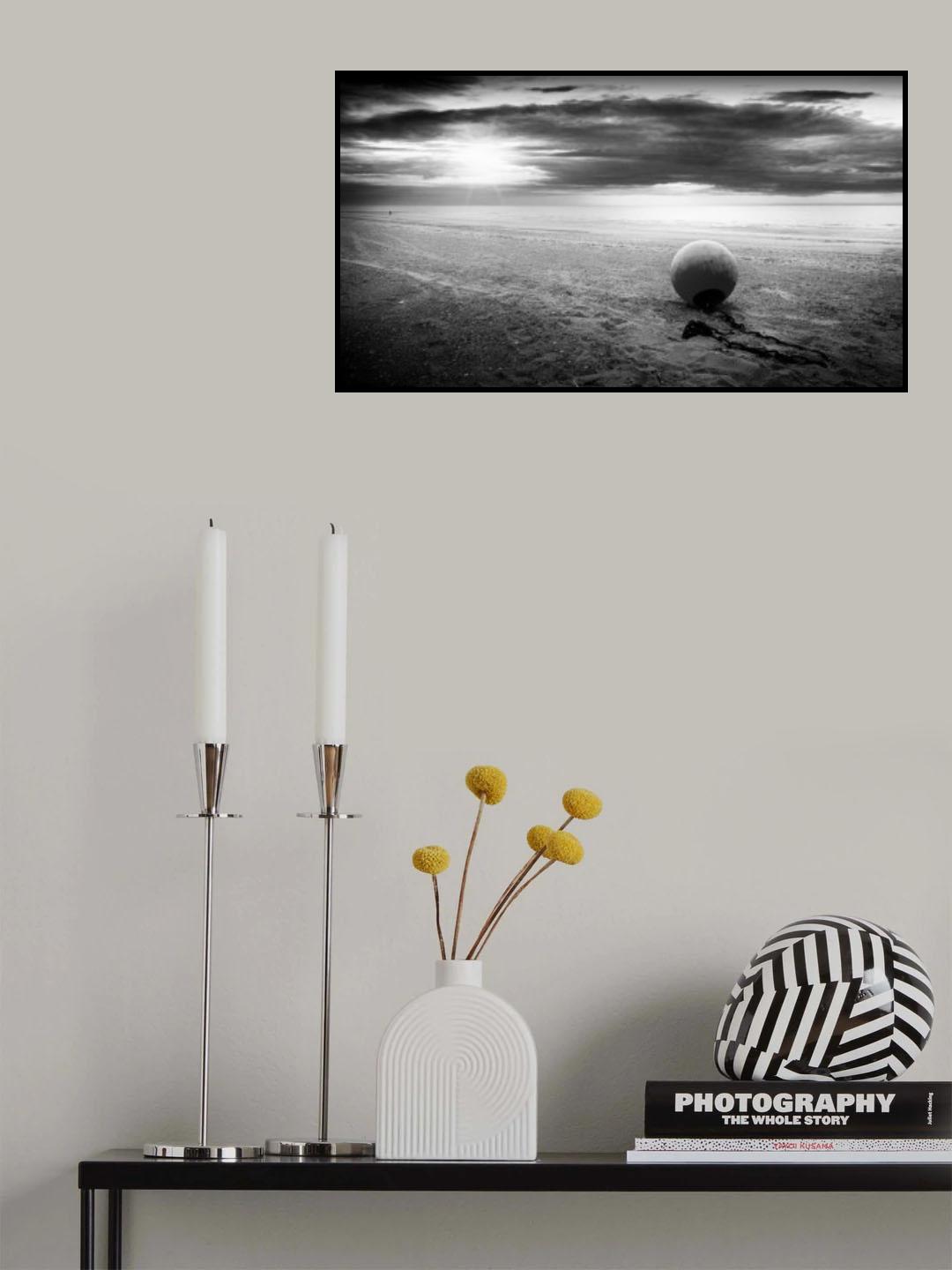 Walk free Poster och Canvastavla