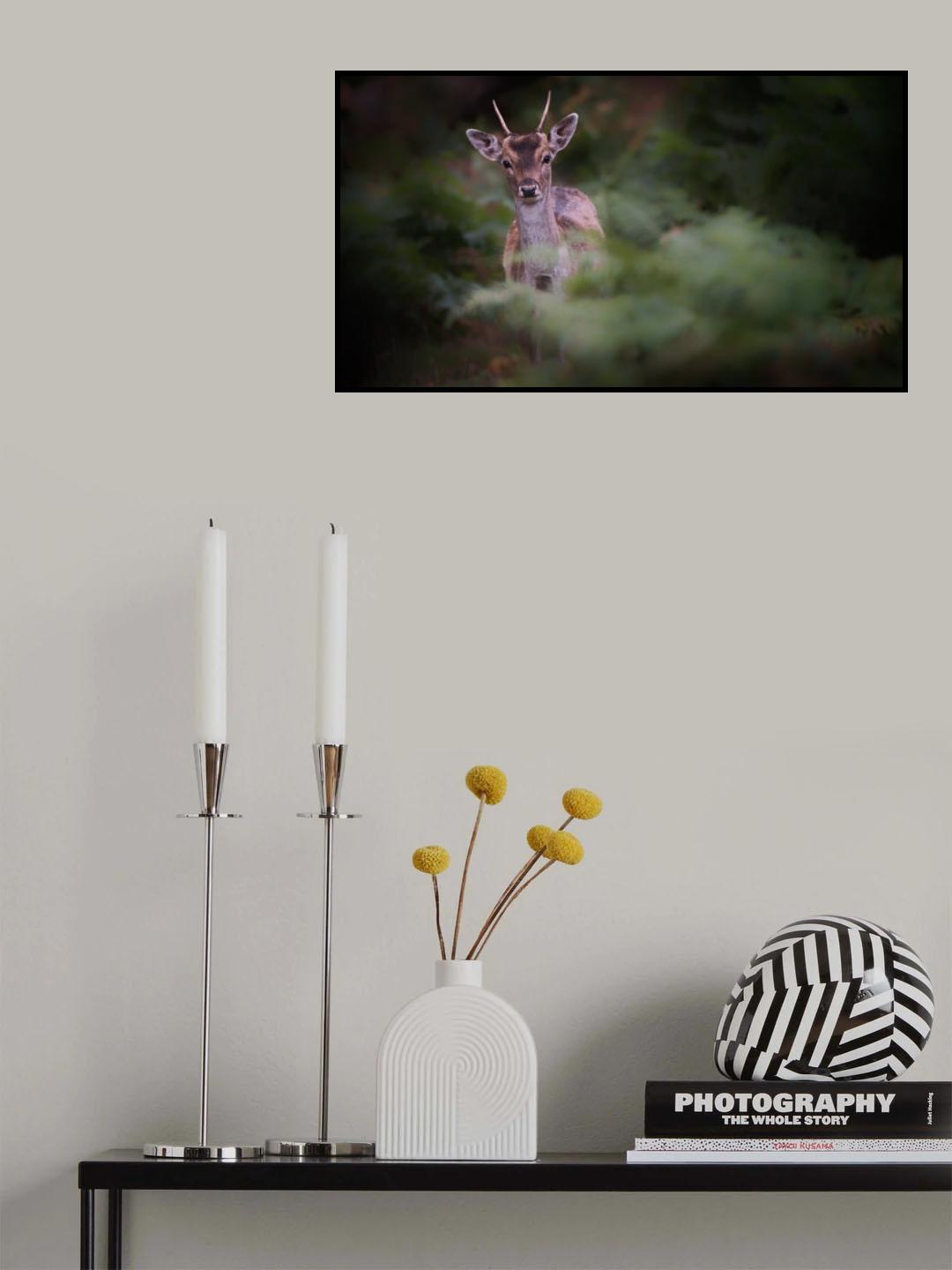 Young Fallow Deer Poster och Canvastavla