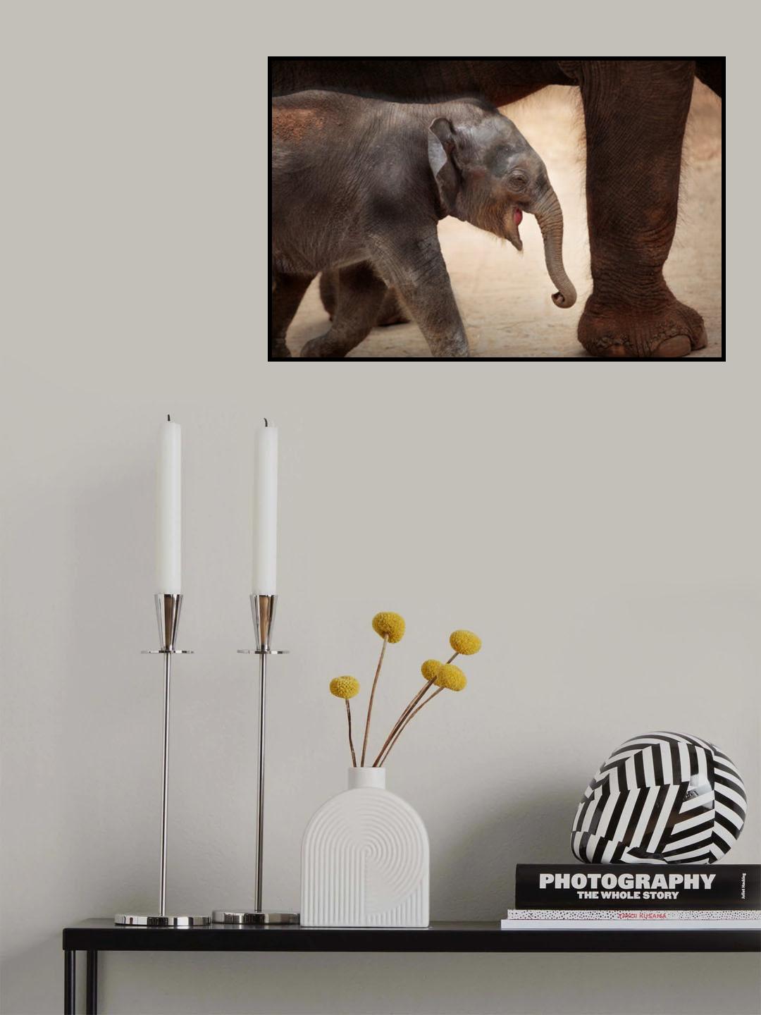 THE MAGIC OF WALKING Poster och Canvastavla
