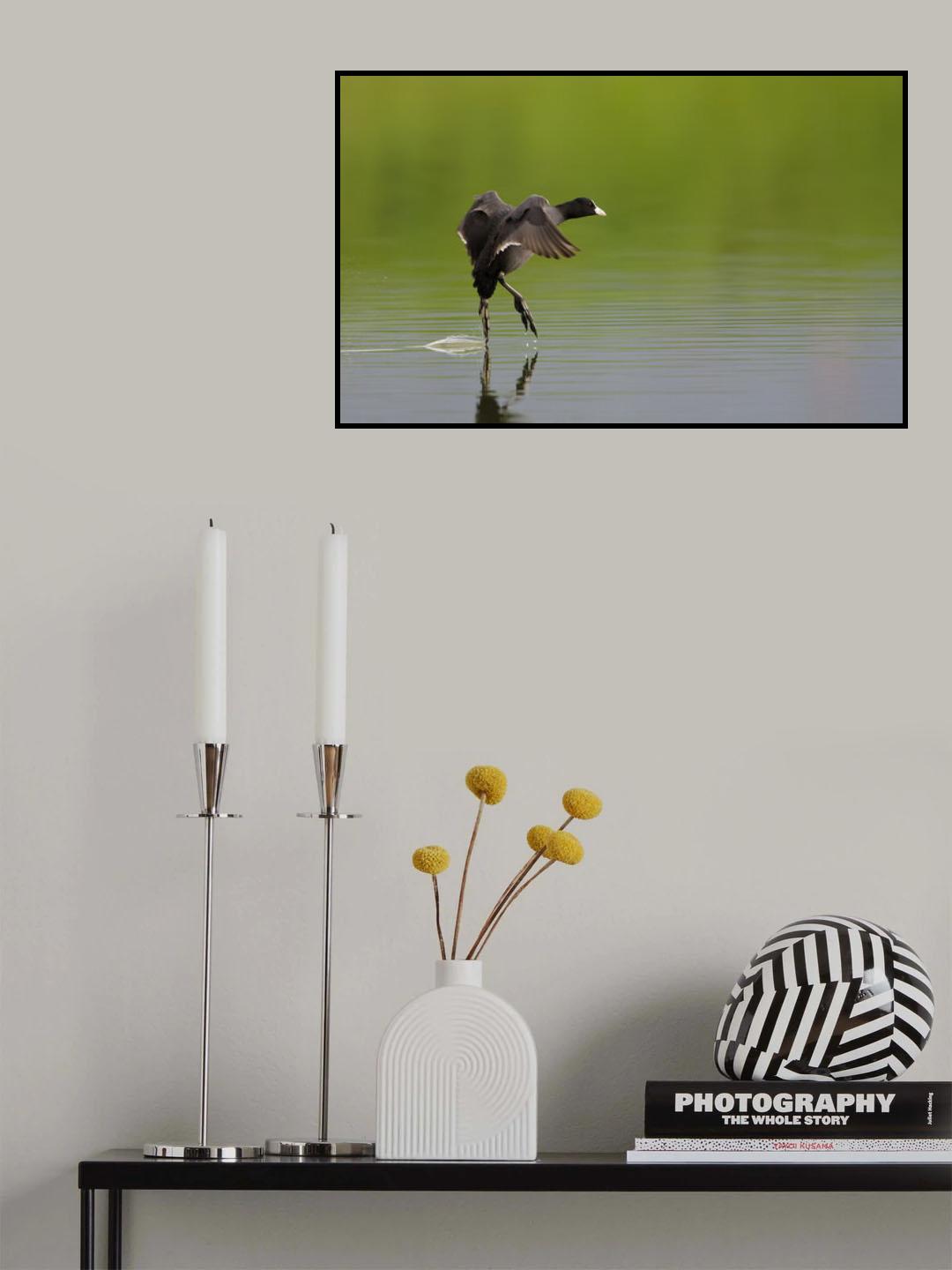 The Dancer Poster och Canvastavla