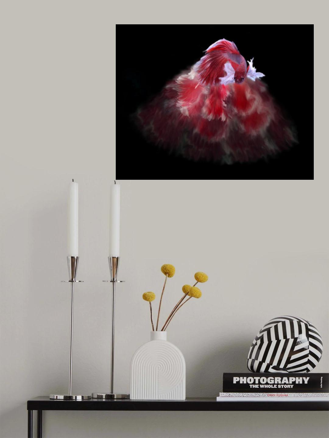 Red and white bettafish Poster och Canvastavla