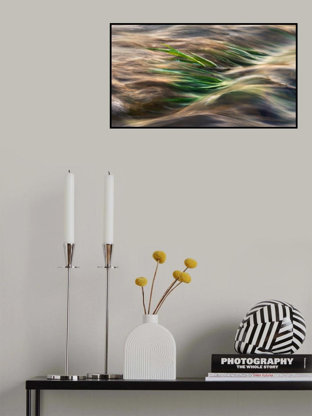 flood Poster och Canvastavla