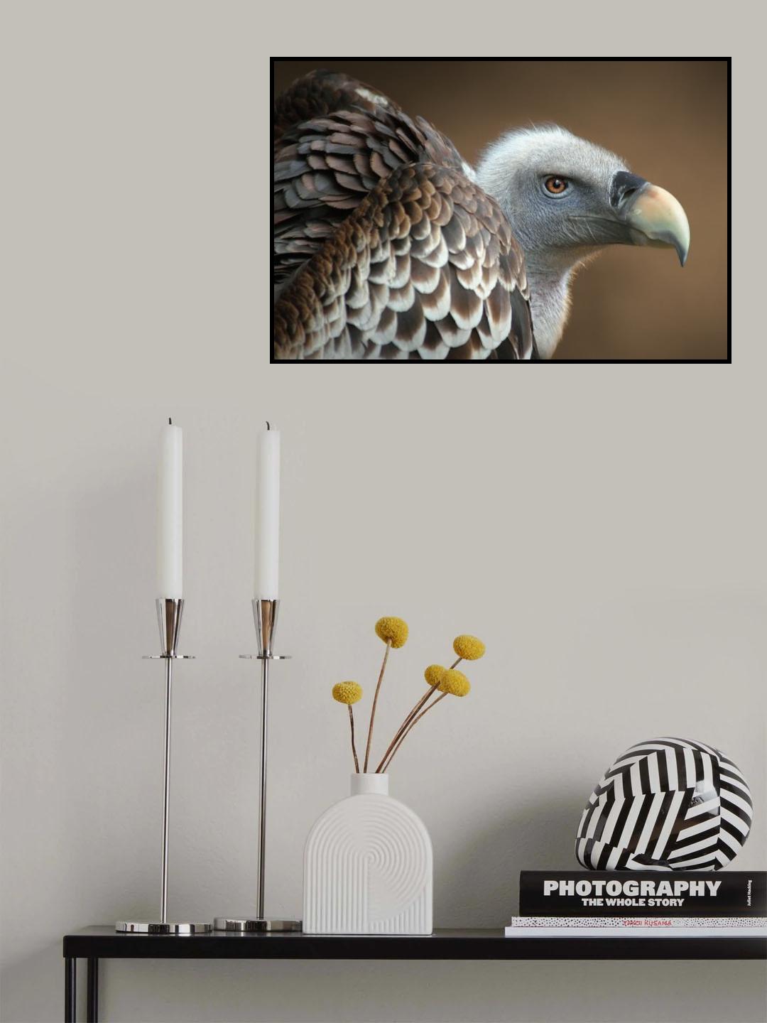 Vulture Poster och Canvastavla