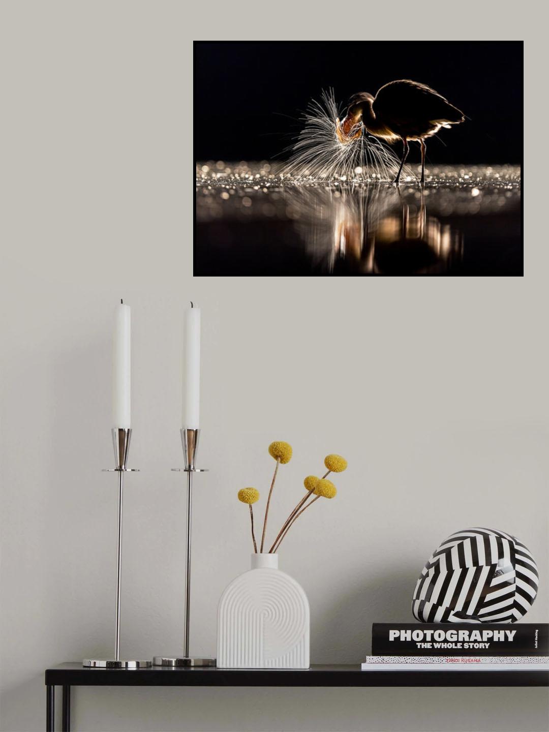 The Ambilight Poster och Canvastavla