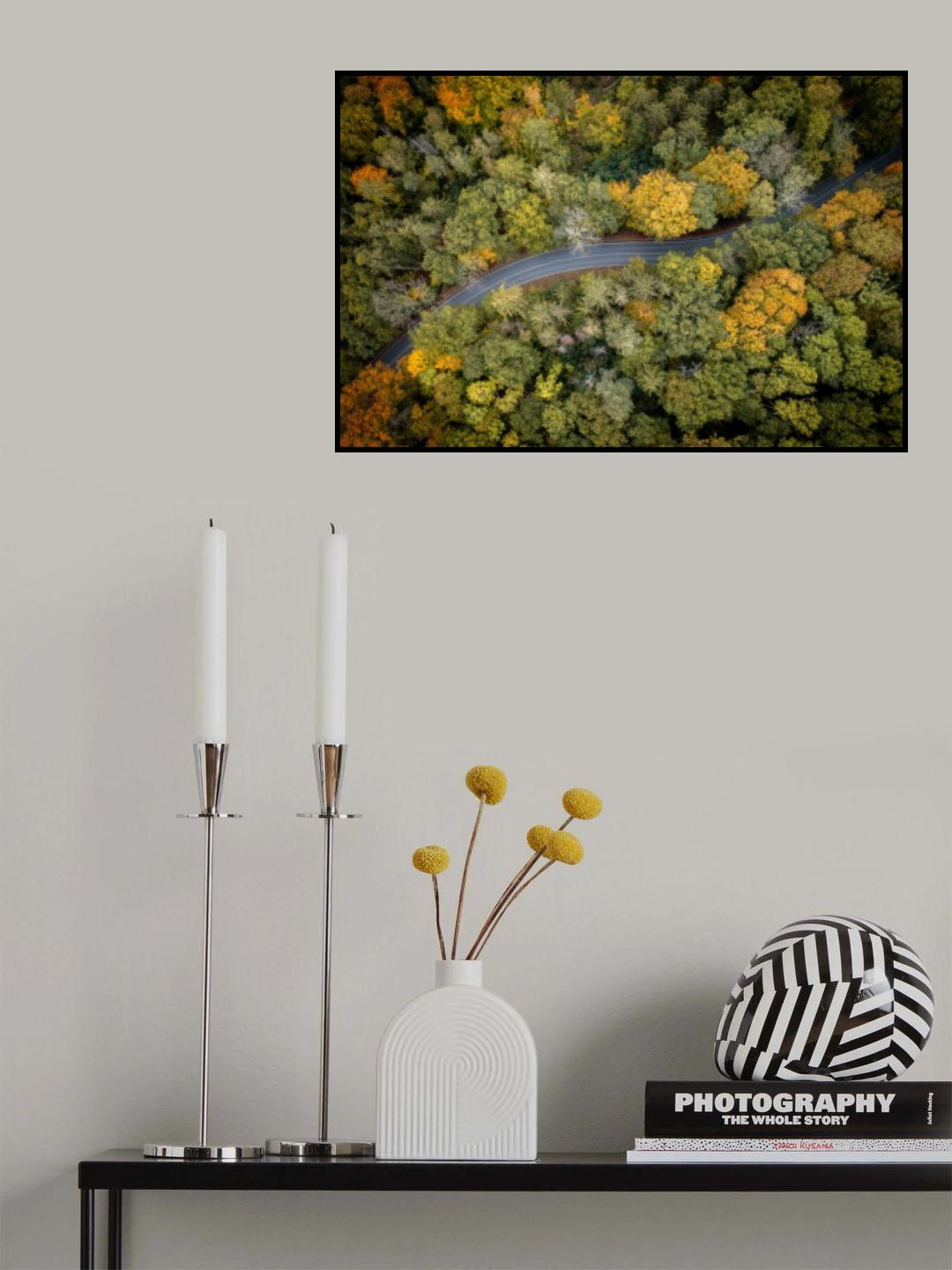 forrest road Poster och Canvastavla