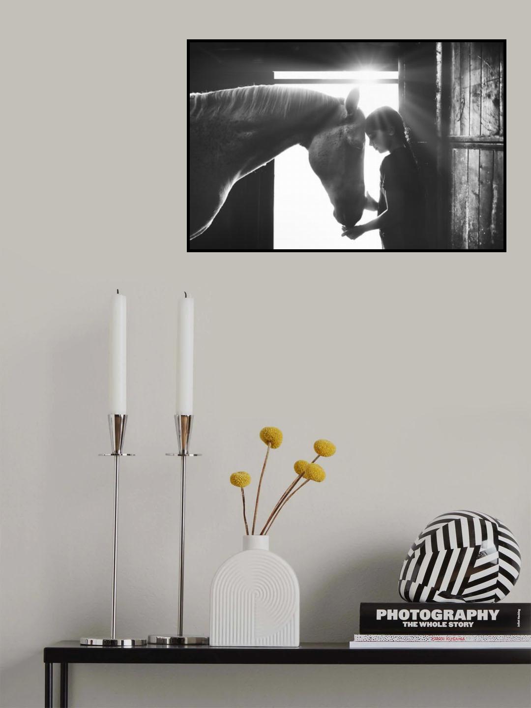 Friends Poster och Canvastavla